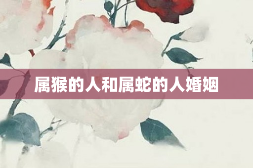 属猴的人和属蛇的人婚姻