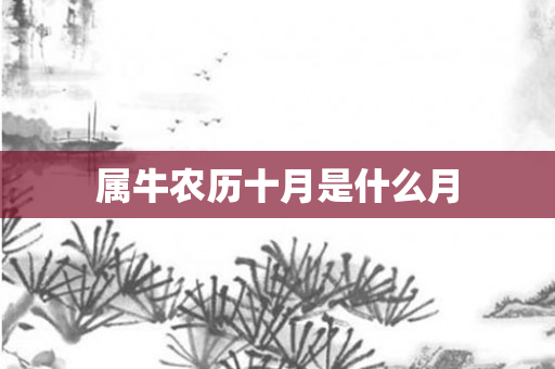 属牛农历十月是什么月