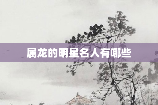 属龙的明星名人有哪些