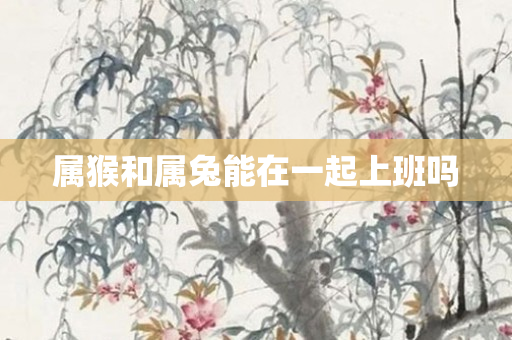 属猴和属兔能在一起上班吗