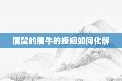 属鼠的属牛的婚姻如何化解