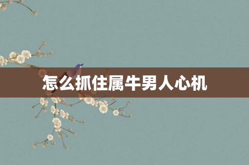 怎么抓住属牛男人心机