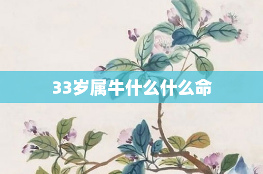 33岁属牛什么什么命