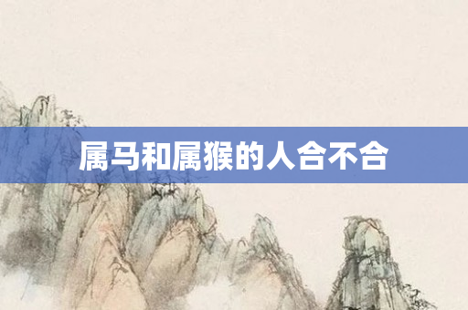 属马和属猴的人合不合