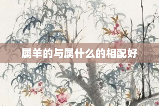 属羊的与属什么的相配好