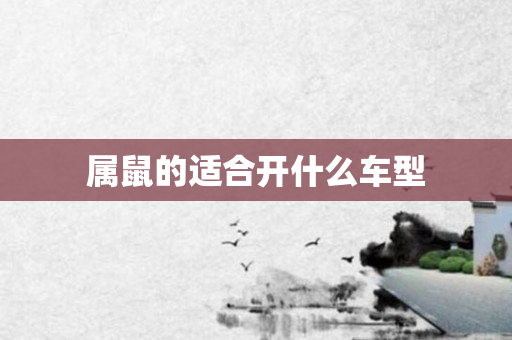 属鼠的适合开什么车型