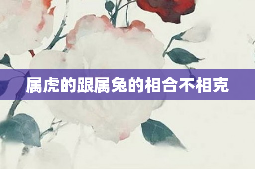 属虎的跟属兔的相合不相克