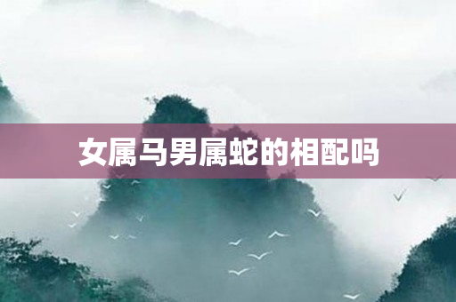 女属马男属蛇的相配吗