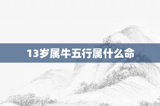 13岁属牛五行属什么命