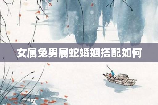 女属兔男属蛇婚姻搭配如何