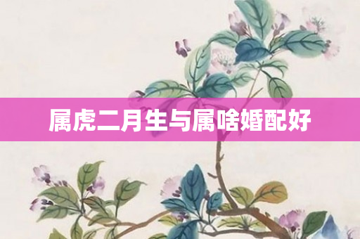 属虎二月生与属啥婚配好