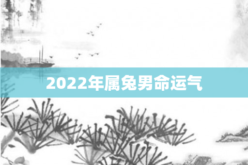 2022年属兔男命运气