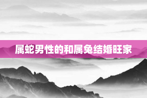 属蛇男性的和属兔结婚旺家