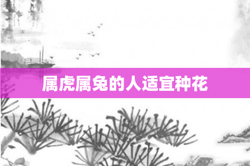 属虎属兔的人适宜种花