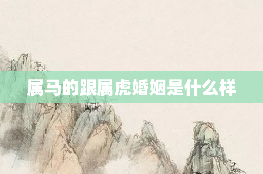 属马的跟属虎婚姻是什么样