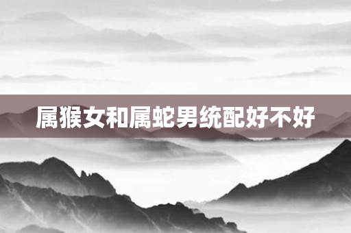 属猴女和属蛇男统配好不好
