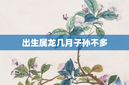 出生属龙几月子孙不多