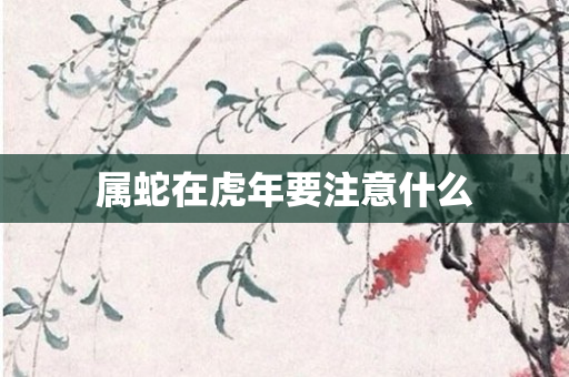 属蛇在虎年要注意什么