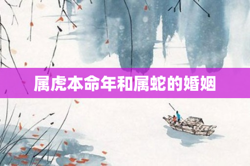 属虎本命年和属蛇的婚姻