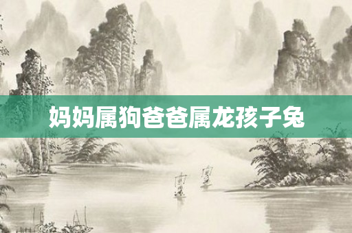 妈妈属狗爸爸属龙孩子兔