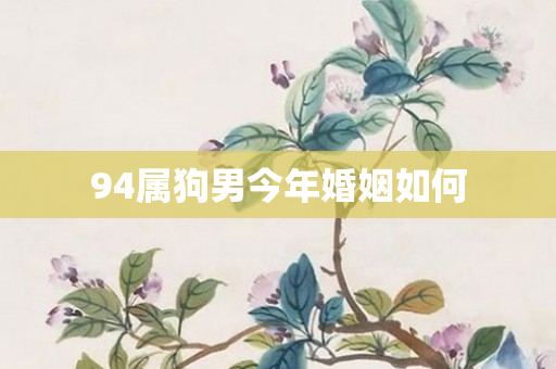 94属狗男今年婚姻如何