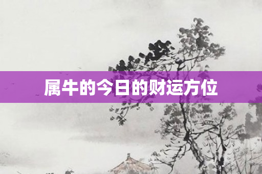 属牛的今日的财运方位