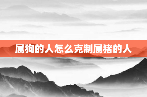属狗的人怎么克制属猪的人