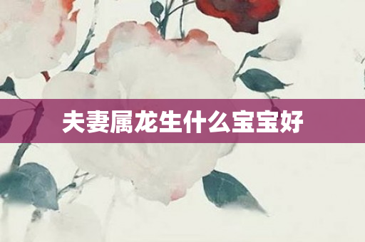 夫妻属龙生什么宝宝好