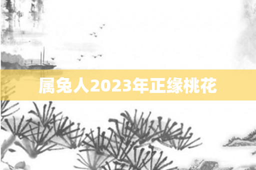 属兔人2023年正缘桃花