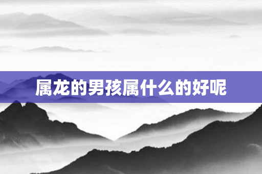 属龙的男孩属什么的好呢