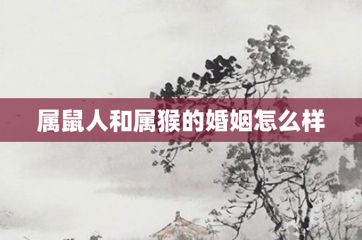 属鼠人和属猴的婚姻怎么样