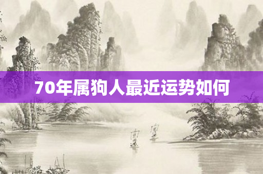 70年属狗人最近运势如何