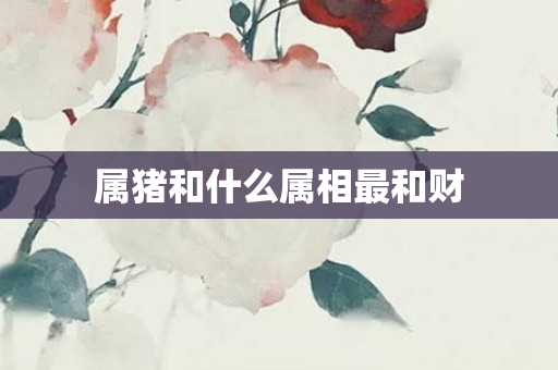 属猪和什么属相最和财
