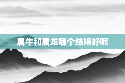 属牛和属龙哪个结婚好呢