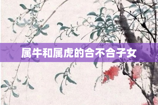 属牛和属虎的合不合子女