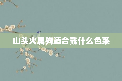 山头火属狗适合戴什么色系