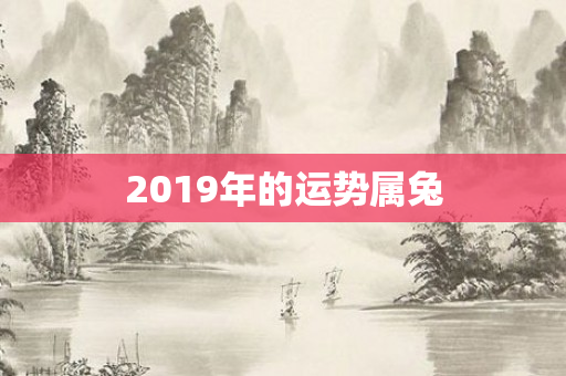 2019年的运势属兔