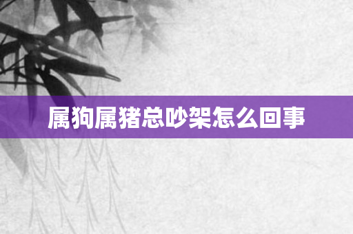 属狗属猪总吵架怎么回事