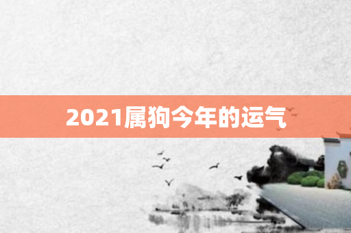 2021属狗今年的运气