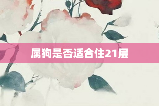 属狗是否适合住21层
