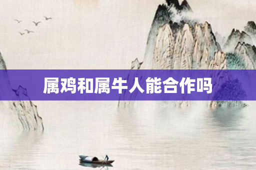 属鸡和属牛人能合作吗
