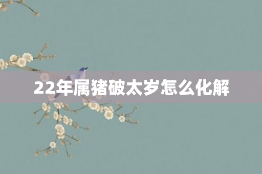 22年属猪破太岁怎么化解