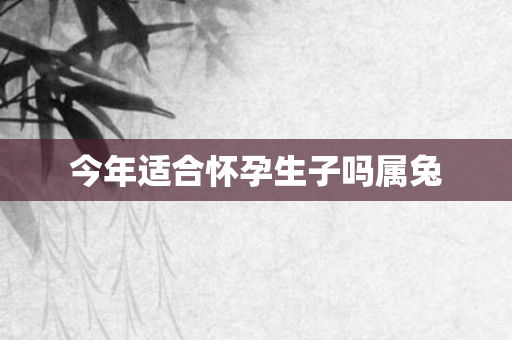 今年适合怀孕生子吗属兔