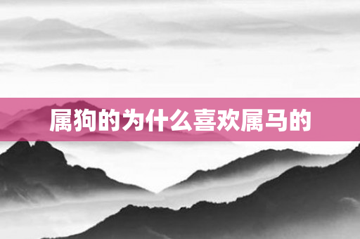 属狗的为什么喜欢属马的