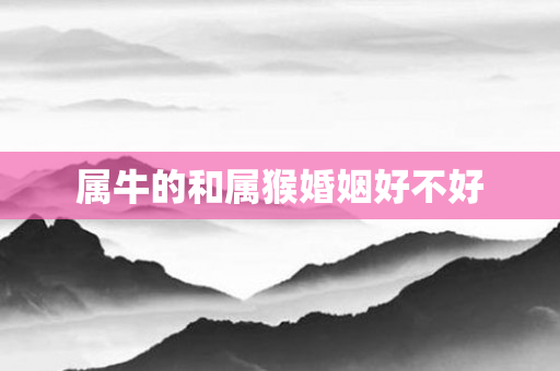 属牛的和属猴婚姻好不好
