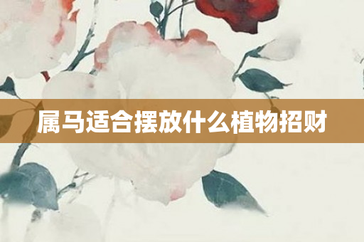 属马适合摆放什么植物招财