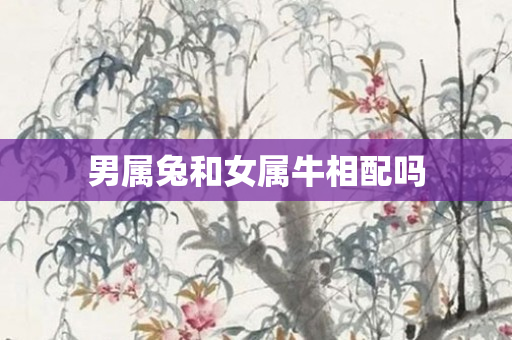 男属兔和女属牛相配吗