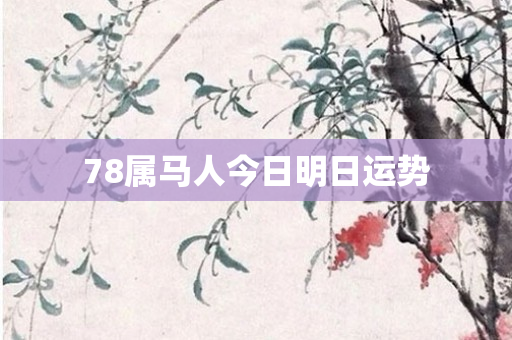 78属马人今日明日运势