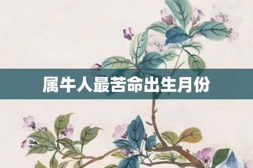 属牛人最苦命出生月份