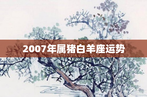 2007年属猪白羊座运势
